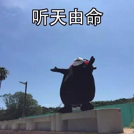  表情包丨美丑有命,胖瘦在天