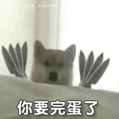  聊天沙雕必备丨狗子拿刀表情包,就问你怕不怕