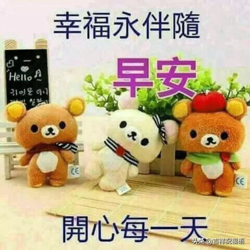  学会适应,让环境变得明亮学会宽容,让心中没有烦恼,早安