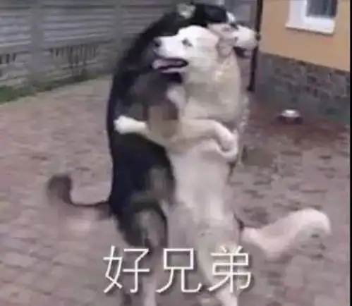 狼殿下幕后照曝光,卸妆后肖战最黑,王大陆不敢张嘴了 狼殿下幕后照曝光,卸妆后肖战最黑,王大陆不敢张嘴了