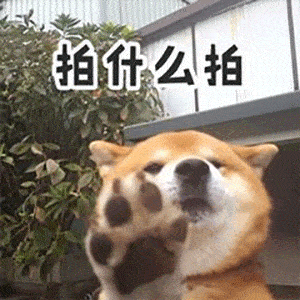  微信拍一拍被网友玩坏了,好友微信拍一拍了你50张动图怼回去上