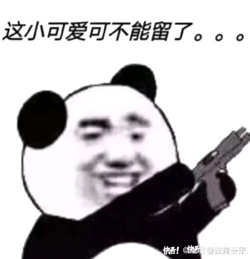 斗图帝的骚图合集