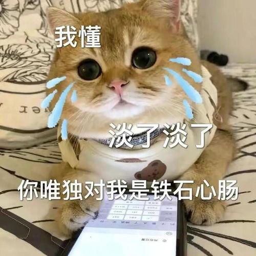  表情包,你讲话好冷漠,就好像我从没让你开心过