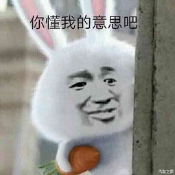 你懂我表情包大全生活费