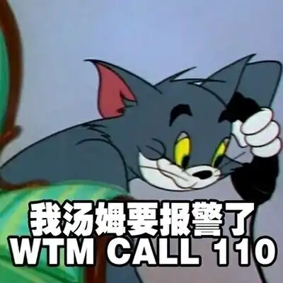  没看过