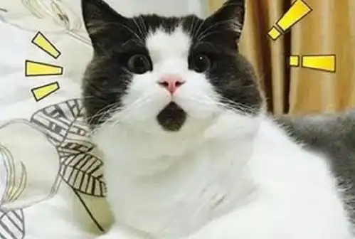 同学聚会居然遇上这种事 同学聚会居然遇上这种事