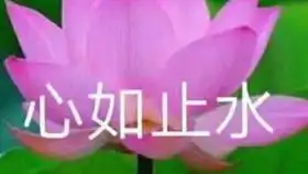 练琴201007 练琴201007