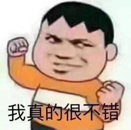  湃力特pilote豪华a型进口房车,专为品质生活设计