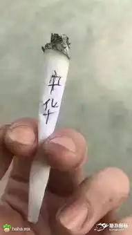 简直无法直视.gif 简直无法直视.gif