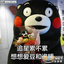  追星累不累想想爱豆和谁睡段子表情包工作累不累想想火锅贵不贵表情包图片下载乐游网游戏下载
