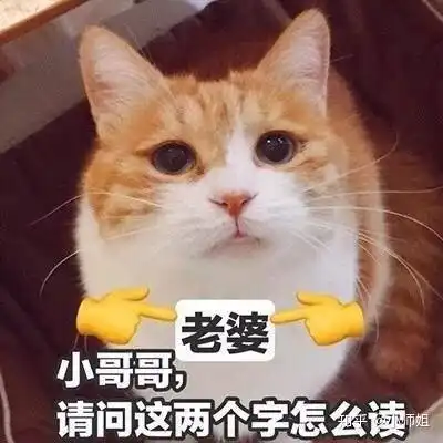 猫会因为知道自己很萌而卖萌吗 猫会因为知道自己很萌而卖萌吗