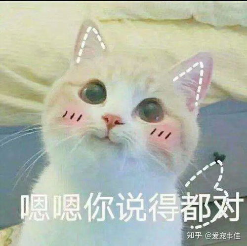  抽烟冲猫吐了一下她居然哮喘了