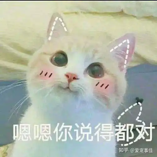 抽烟冲猫吐了一下她居然哮喘了 抽烟冲猫吐了一下她居然哮喘了