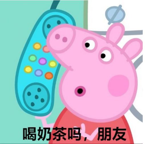 加vx的表情包小猪