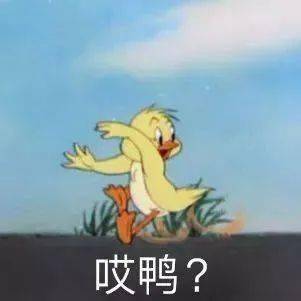  表情包动图热门表情包大全