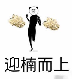  飘散在魔都不可描述的气味,你闻到了嘛罪魁祸首就是它