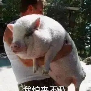 没有7比0胜似7比0moon完美复仇sok 没有7比0胜似7比0moon完美复仇sok