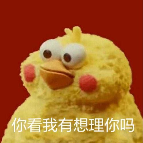  小知识