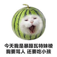  今天我是猫咪水果表情包今天我是开心阿婆没有理由就是傻乐