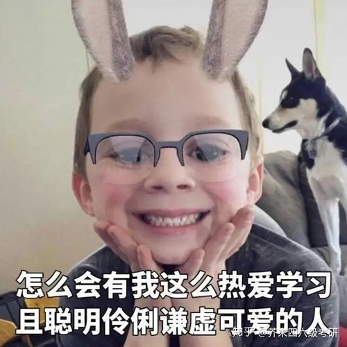  芥末考研考研破天荒第一次线上复试,快来康康在线复试都有哪些注意事项
