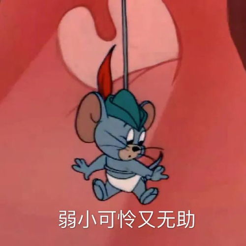  泪目考研人崩溃的十大瞬间