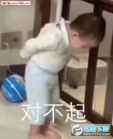  权律二老子道歉表情包下载权律二女朋道歉专用表情下载飞翔下载
