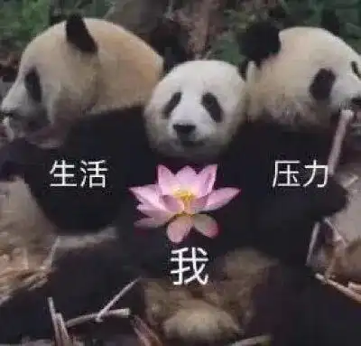 超可爱的熊猫表情包 超可爱的熊猫表情包