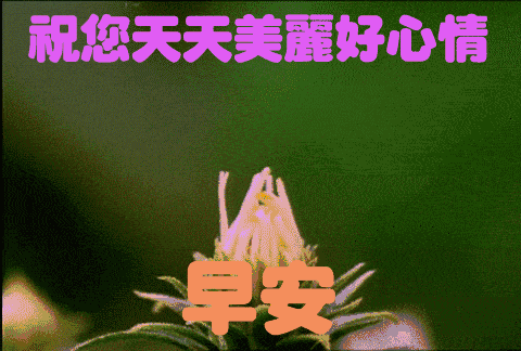 最新大家早上好问好动态表情图片早上问好漂亮的图片 最新大家早上好问好动态表情图片早上问好漂亮的图片