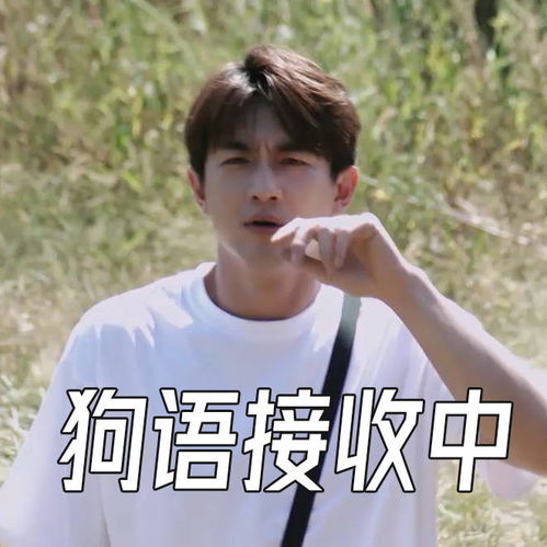 咱就说林更新这社交能力杠杠的,东北式社交从一声妹妹开始