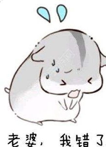 老婆别生气了表情包 老婆别生气了表情包