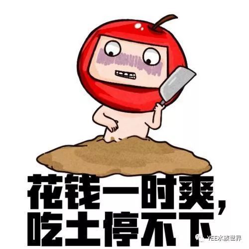  鱼缸vs盖楼,总有一份奖品是你的