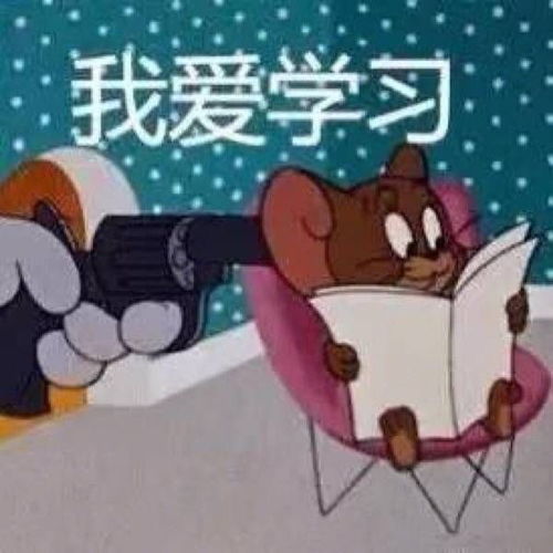  搞笑表情包看,哥给你梳头发,今晚不回家