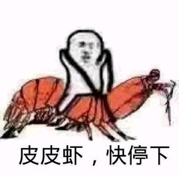  征信查询费下调啦这事儿咱必须知道转