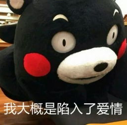  锤爷大料