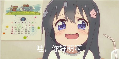  卖萌表情包1st