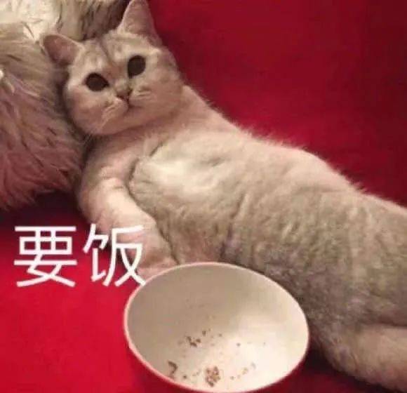  热门沙雕表情包