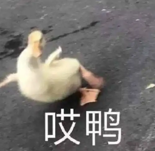 姐这回是喜事将近了吧机场生图全身裹紧但手上鸽子蛋实在太闪 姐这回是喜事将近了吧机场生图全身裹紧但手上鸽子蛋实在太闪