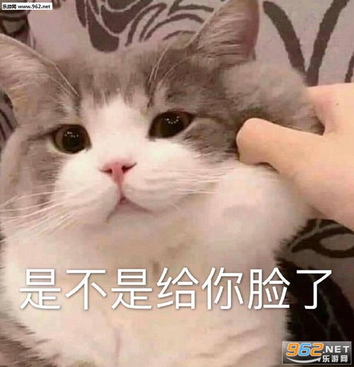  为什么没人叫我出去玩图片是不是给你脸了表情包下载乐游网游戏下载