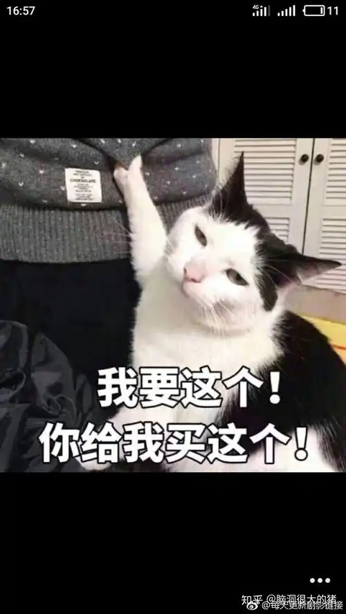  有哪些特别萌的表情包