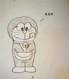  原谅帽是什么意思什么梗网络语原谅帽名称解释及表情包图片