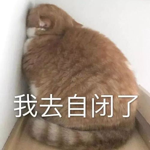 微信斗图表情包好冷,过来一起睡觉
