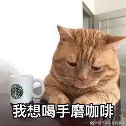 天津相声广播有新品种猫猫可以吸了 天津相声广播有新品种猫猫可以吸了