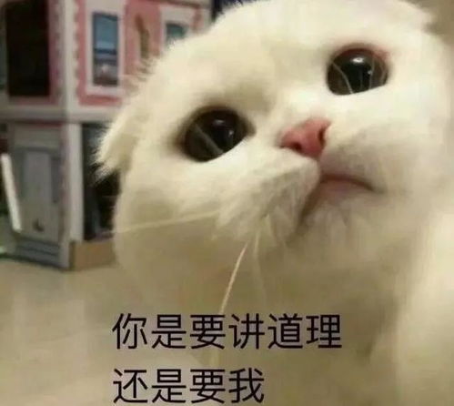  幽默笑话老公,你不要吃大碗面,碗壁上有一层胶是对身体有害的