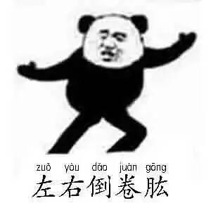  熊猫头太极拳招式表情包白鹤亮翅双峰贯耳