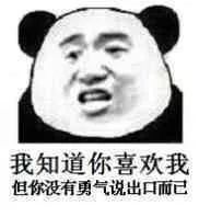  熊猫头表情包你怎么聊着聊着就不见了