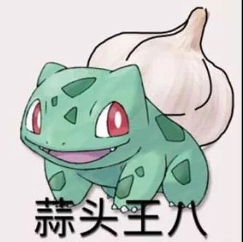 斗图表情包乌龟妙蛙种子