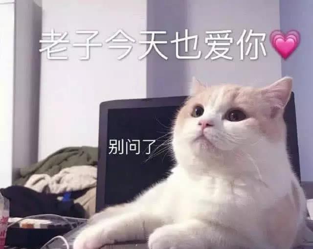 让女孩瞬间红了脸的撩妹表情包,甜到发齁,分分钟让你脱单 让女孩瞬间红了脸的撩妹表情包,甜到发齁,分分钟让你脱单