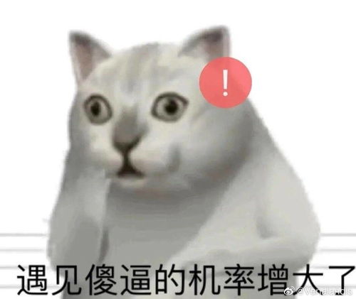 可爱喵咪表情包抖音