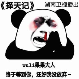  网友评价择天记有毒,剧组的表情包火了