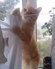 斗图表情包乌龟蛇精